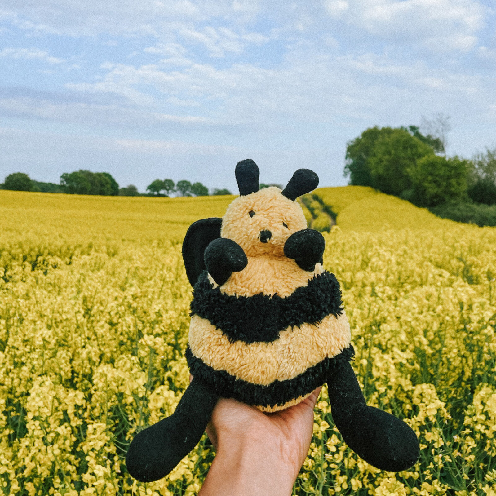 Bumblepuutz