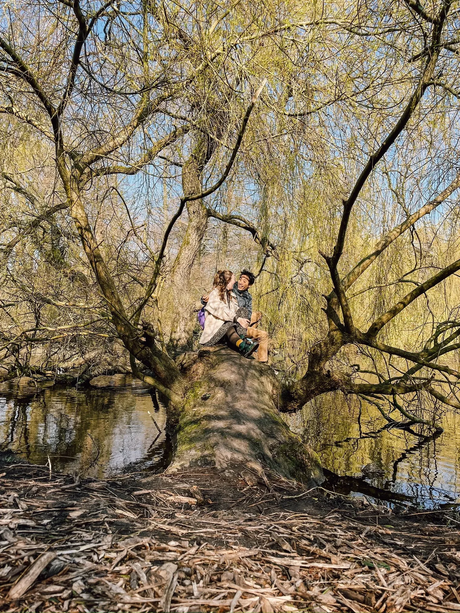 we found a tree in the water
