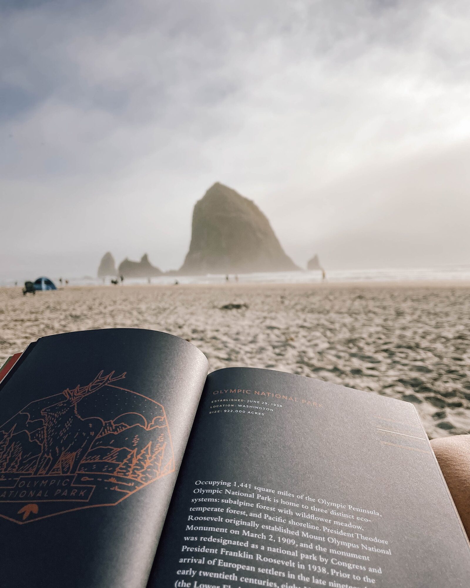 would you read a book here?
