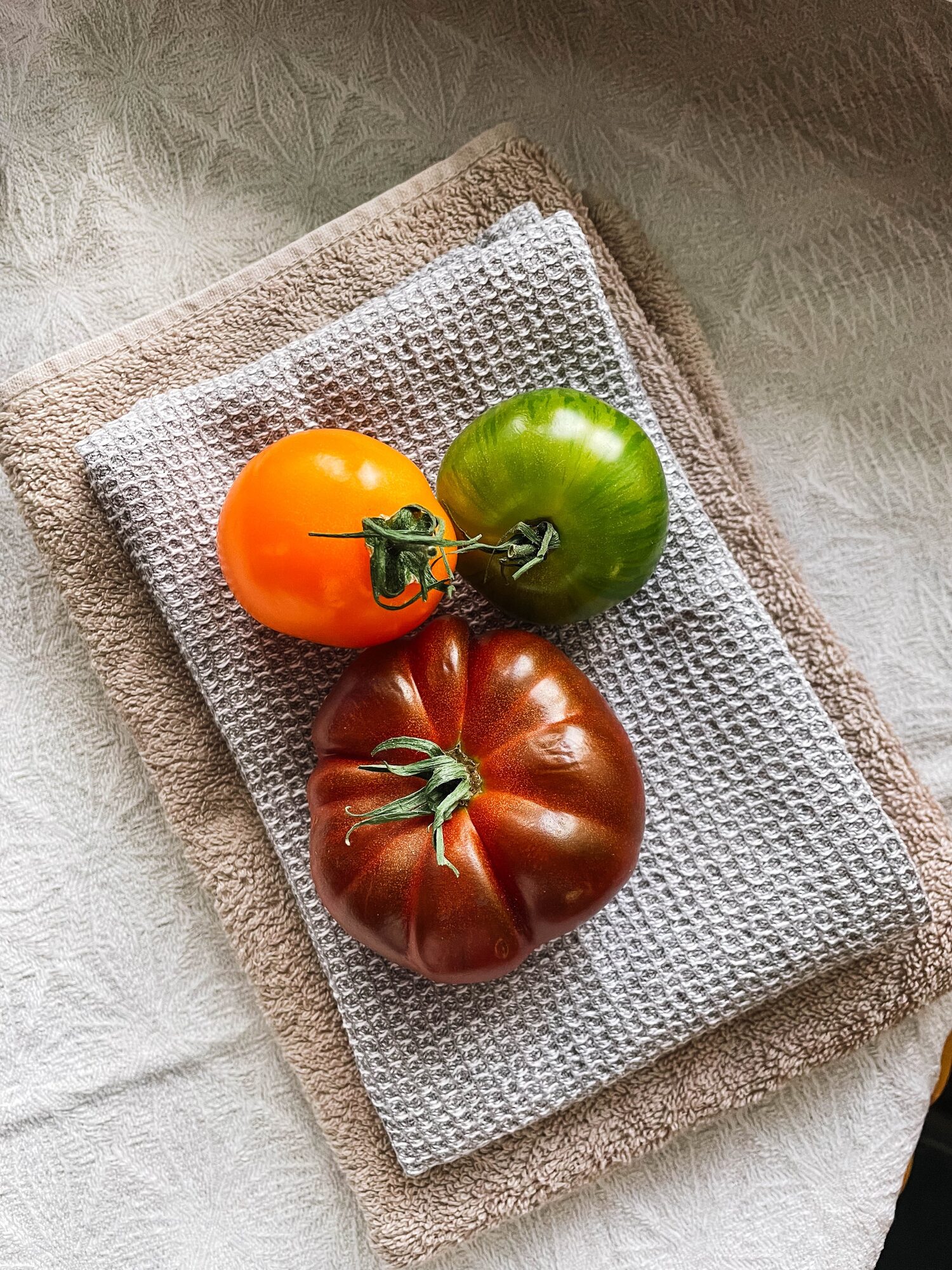 have you ever had green tomatoes? they are so yummy!