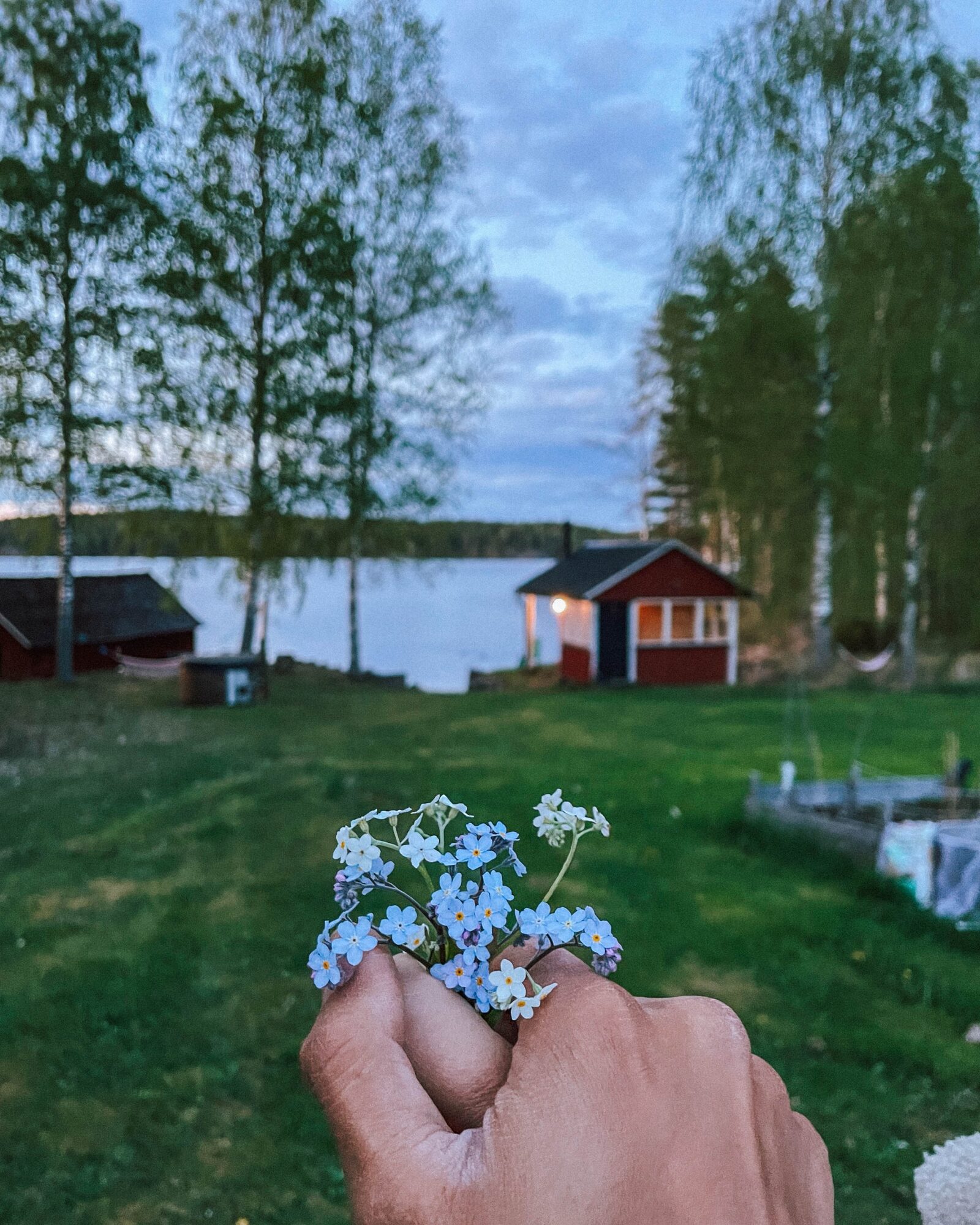 plenty of wildflowers by the lakeside sauna