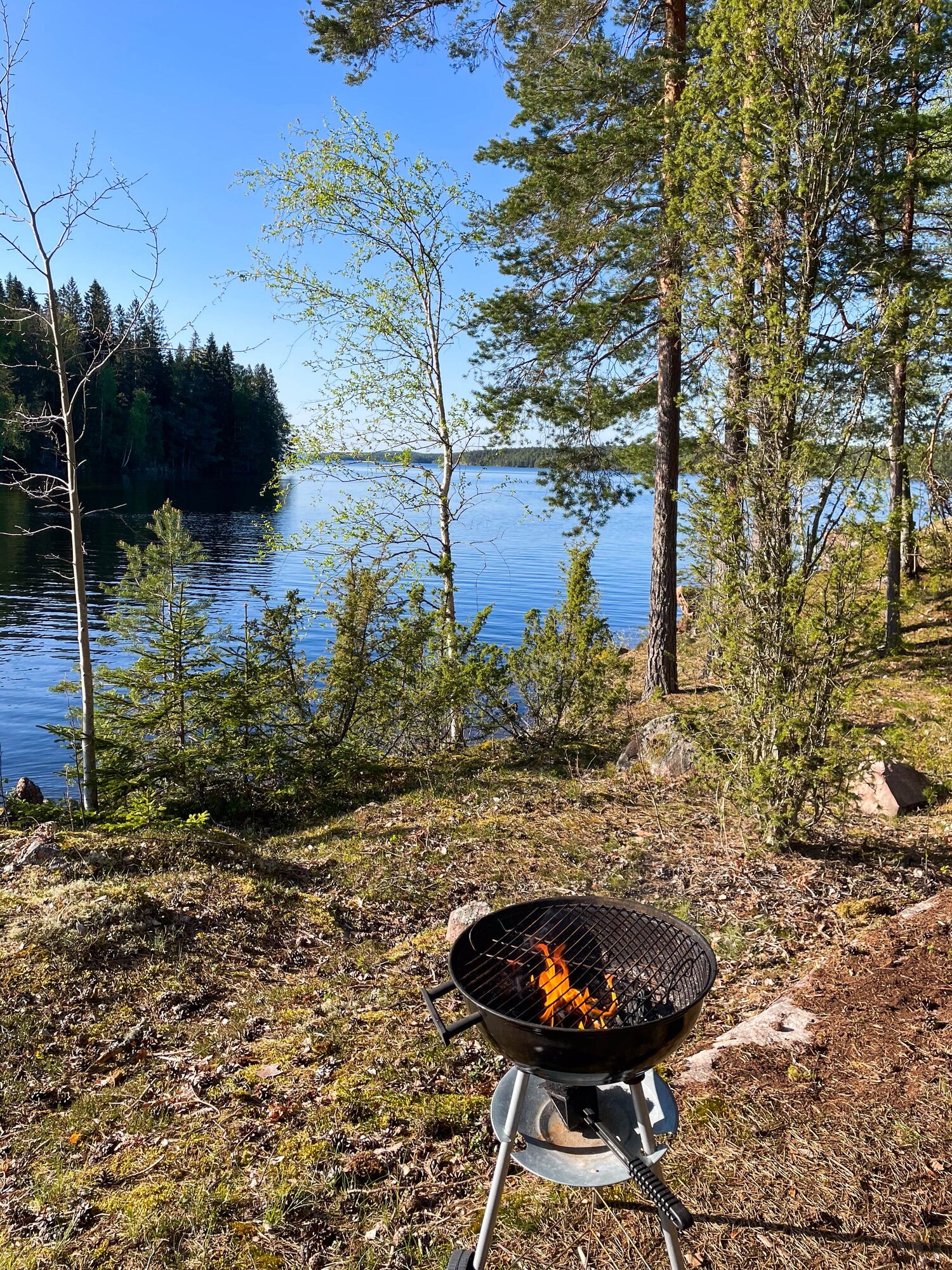 dinner by the lake with a hammock and a grill!