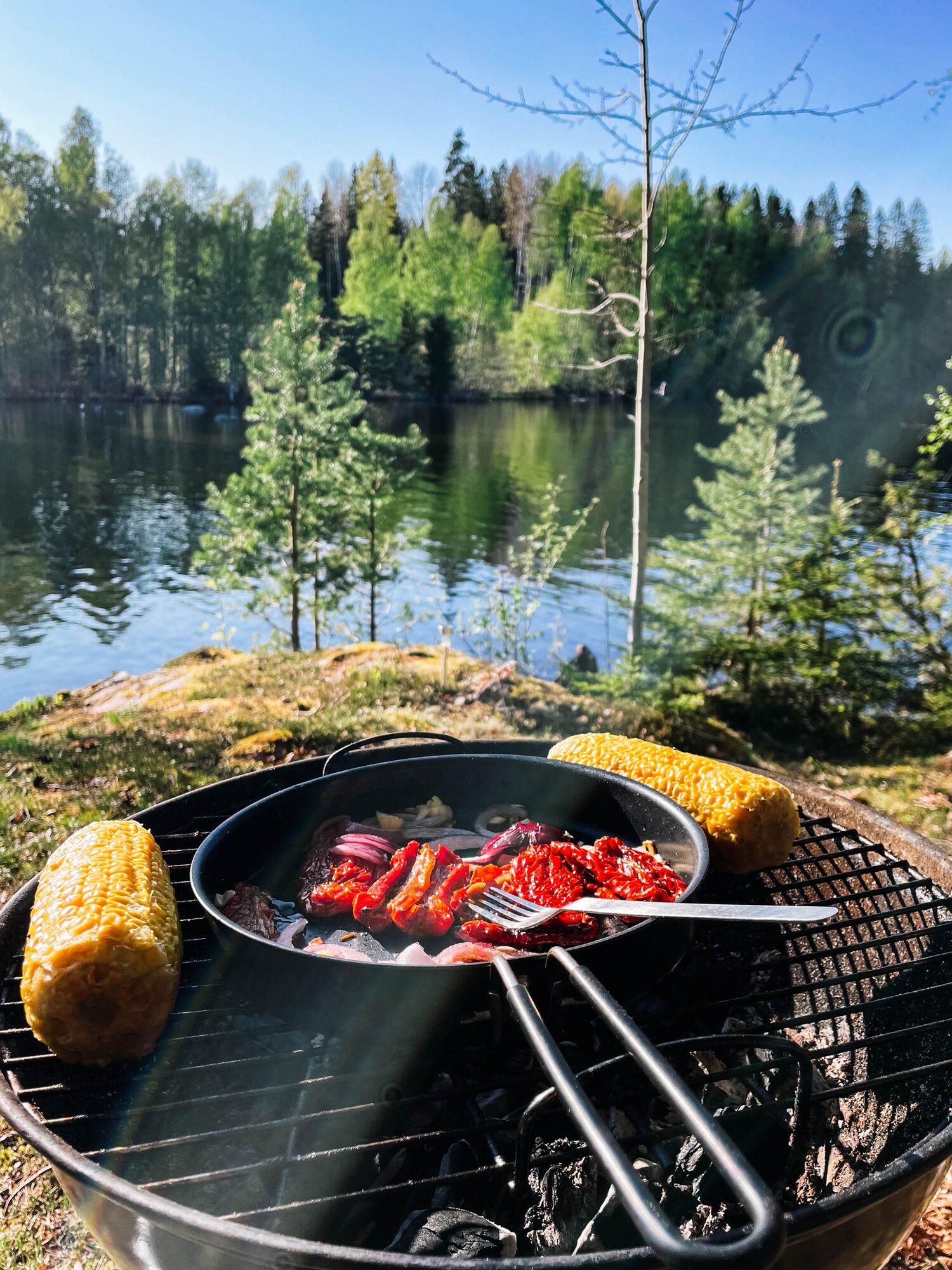 our dinner on the grill!