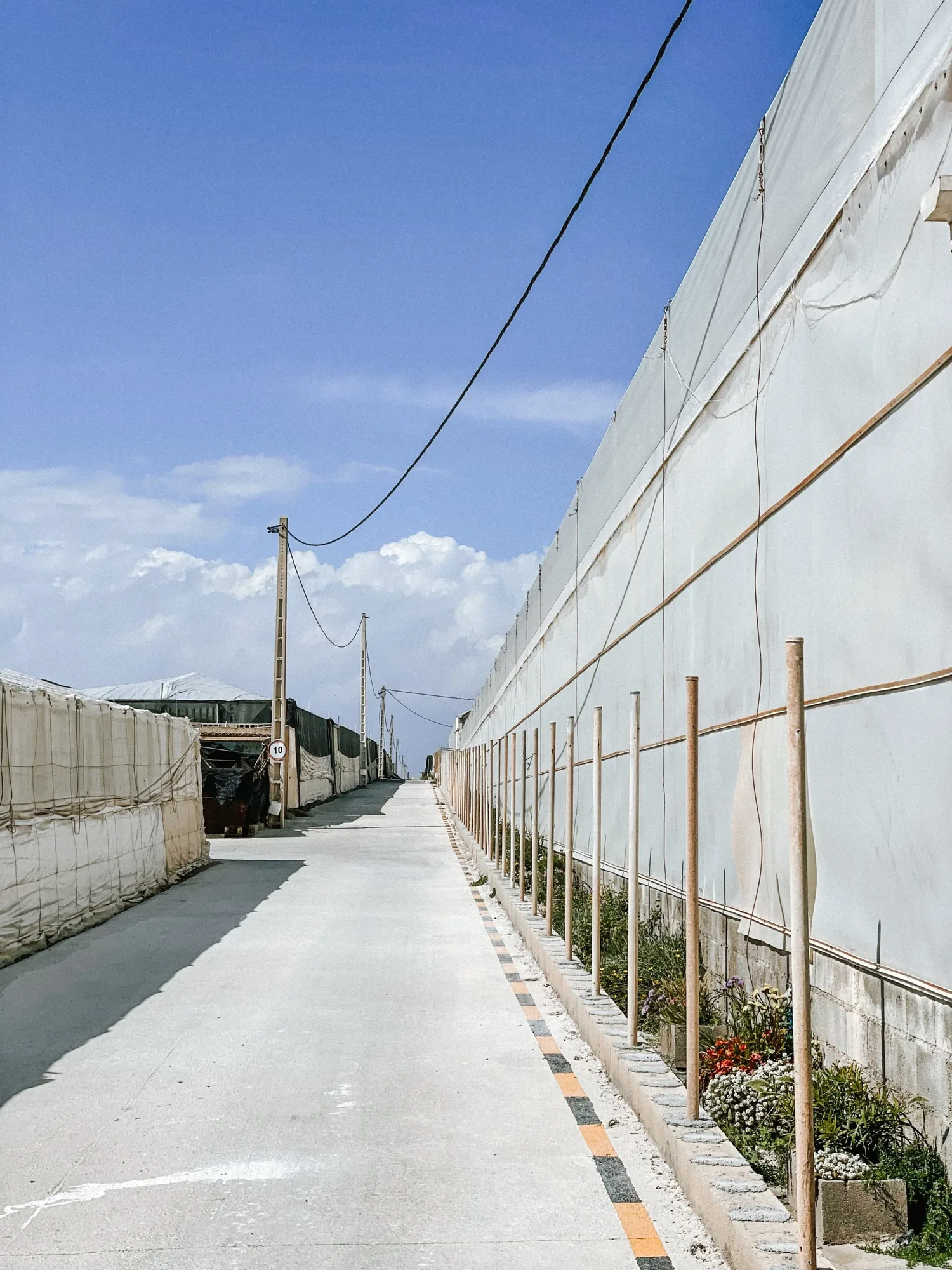 the view between the greenhouses