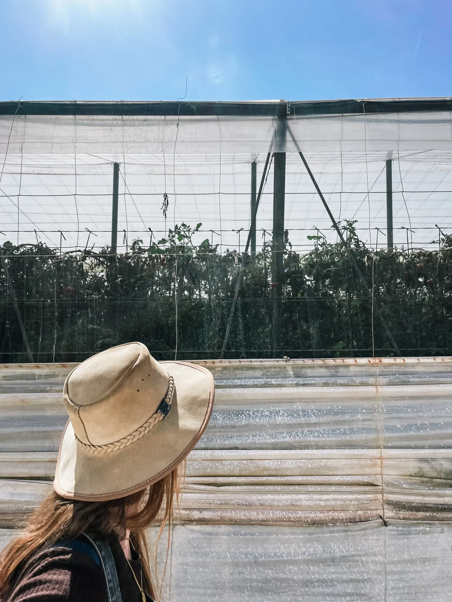 the greenhouse from the outside