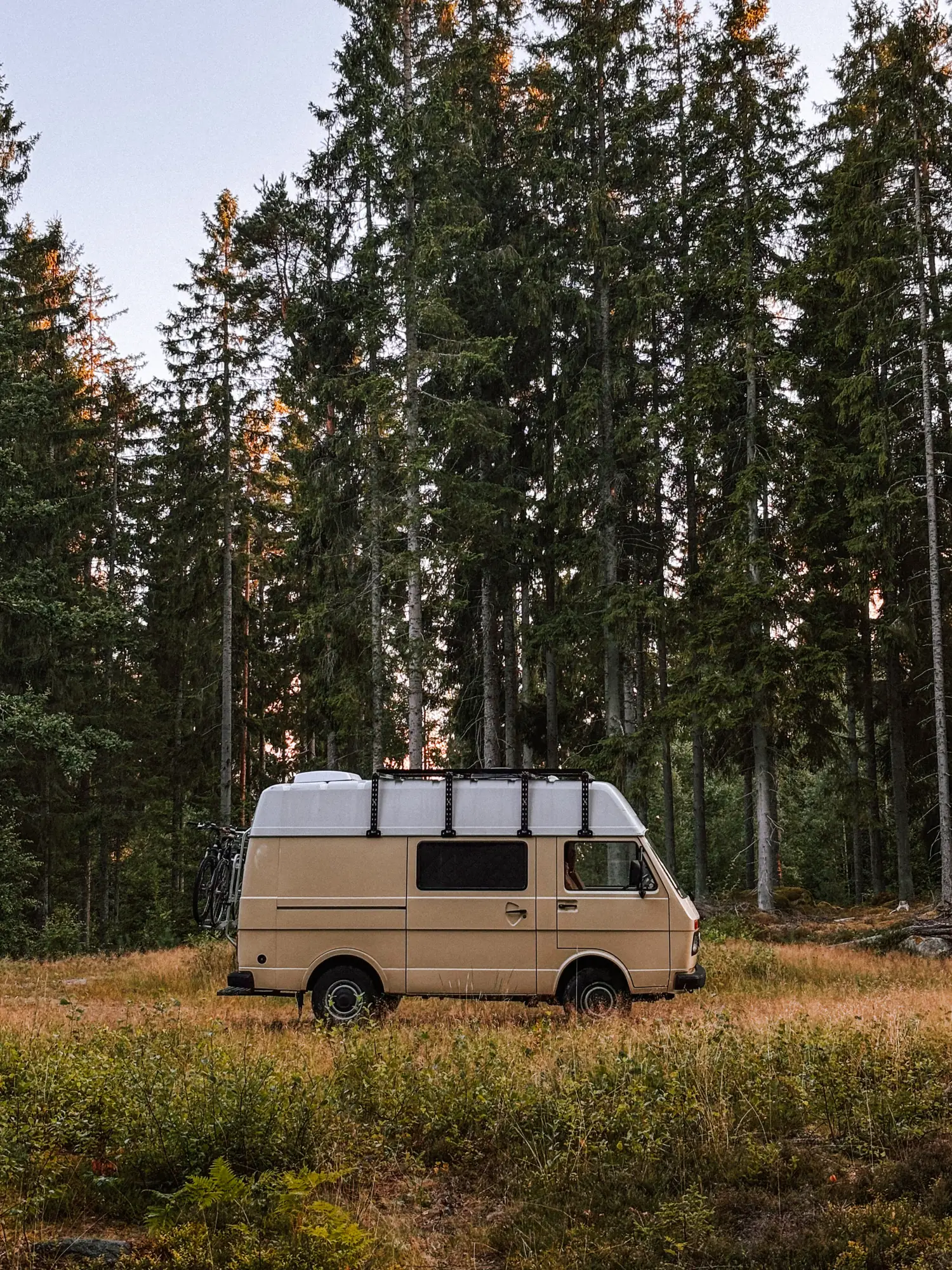 humbär parked among tall spruces