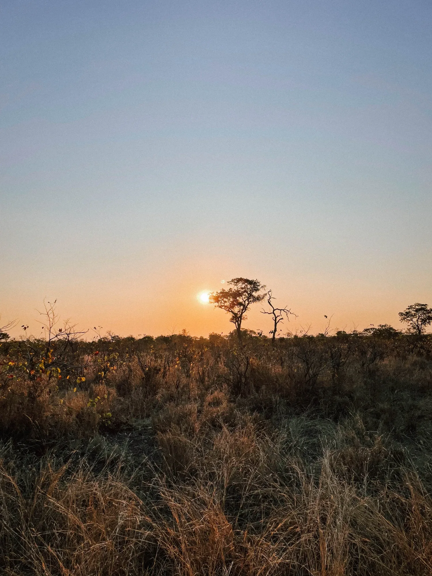 the most spectacular viewings are at sunrise and sunset
