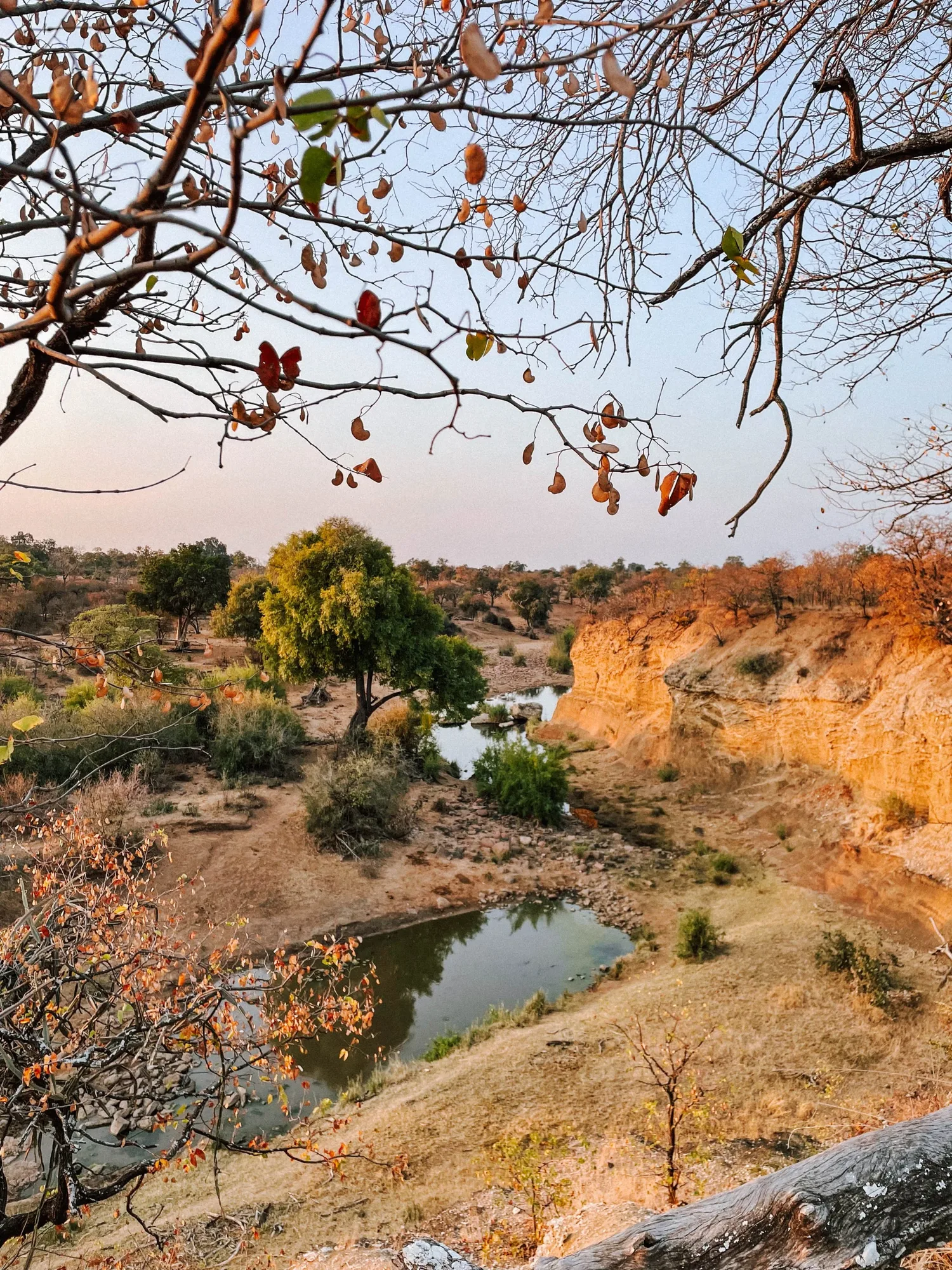 a view point in kruger national park near shingwedzi