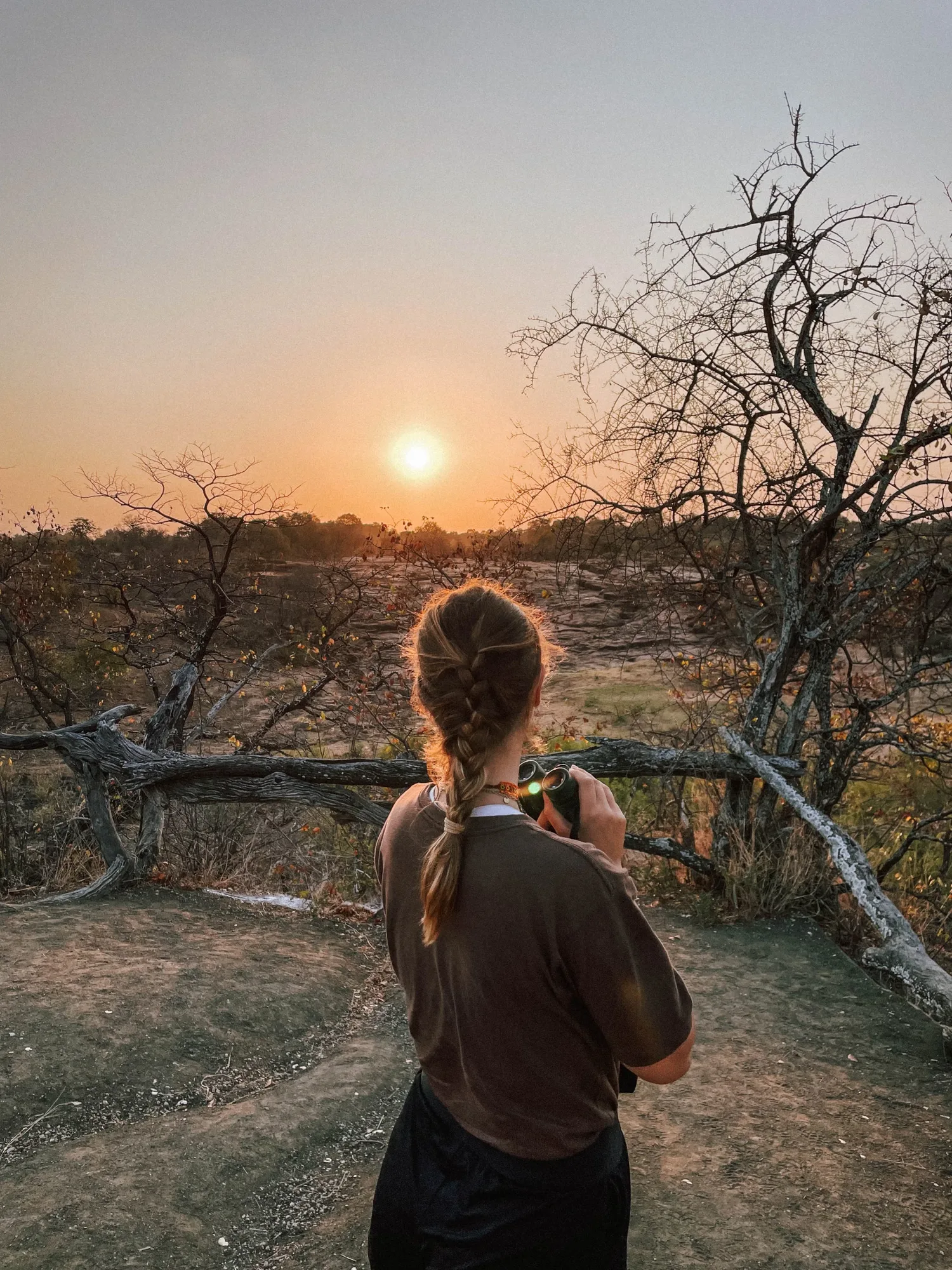 stay out until the sunset for the best wildlife viewing