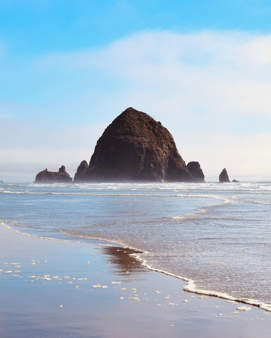 the rock. where the tufted puffin resides