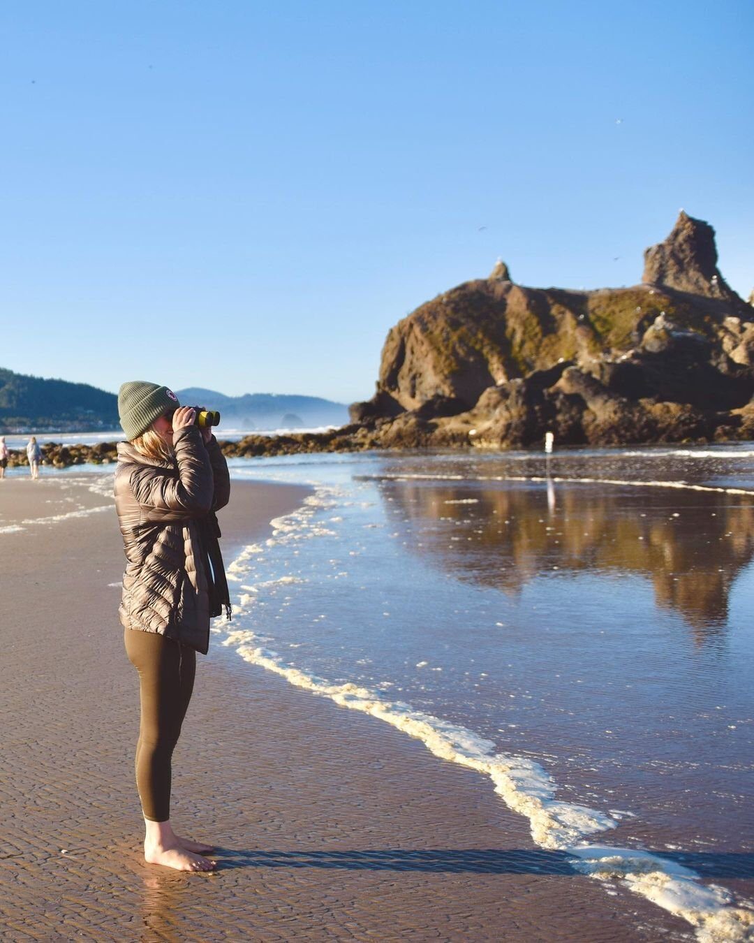 looking for the haystack rock puffins