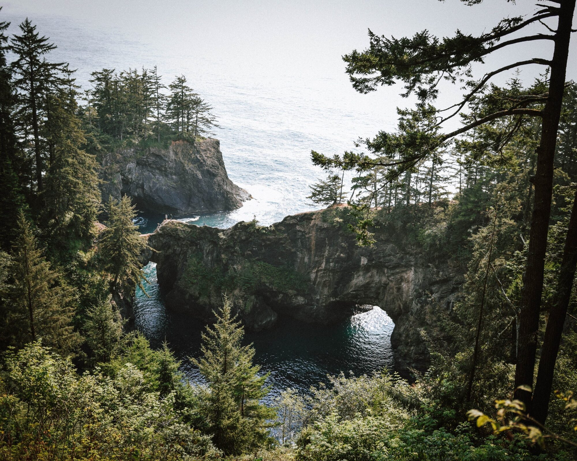 the natural bridges at samuel h. boardman state scenic corridor