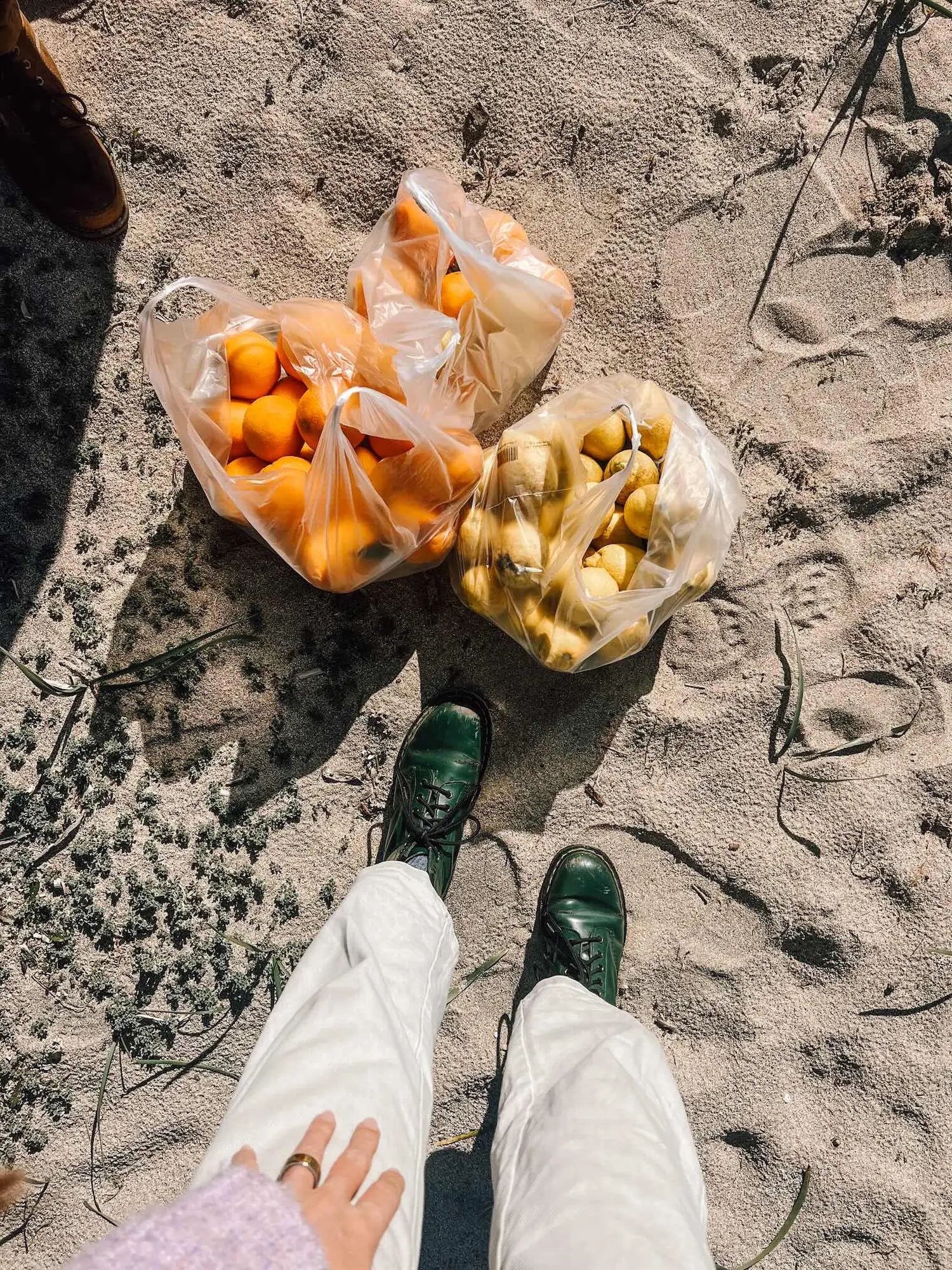 receiving a big bag of oranges and lemons