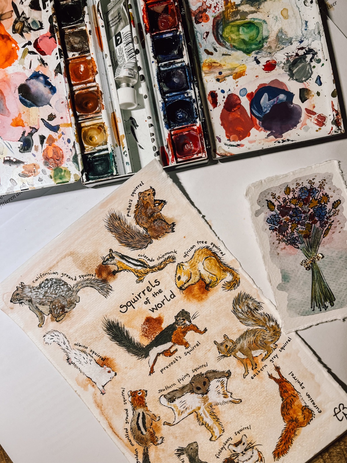 aquarelle squirrels of the world postcard painted by evelyne