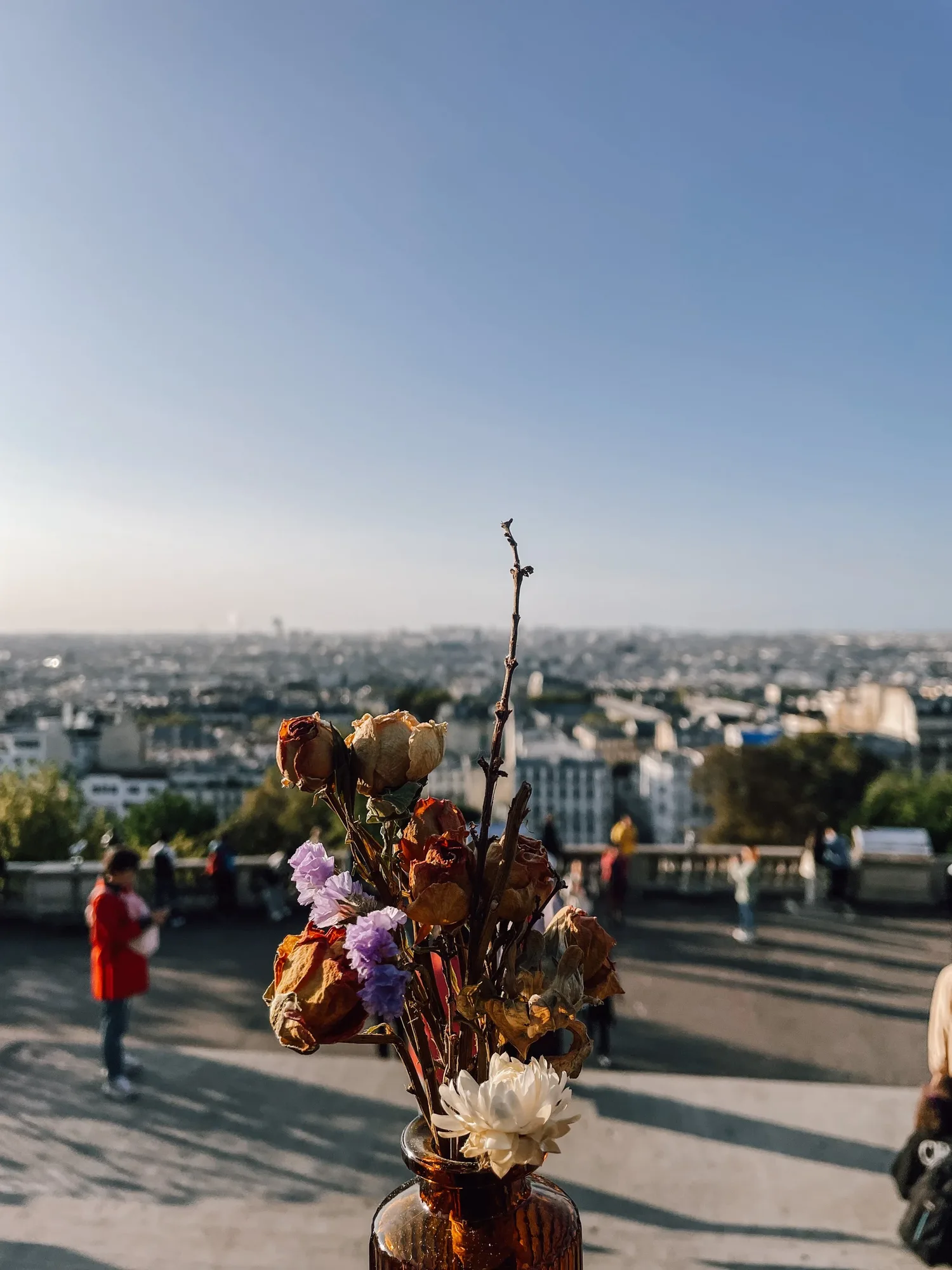 a granola girl guide to paris