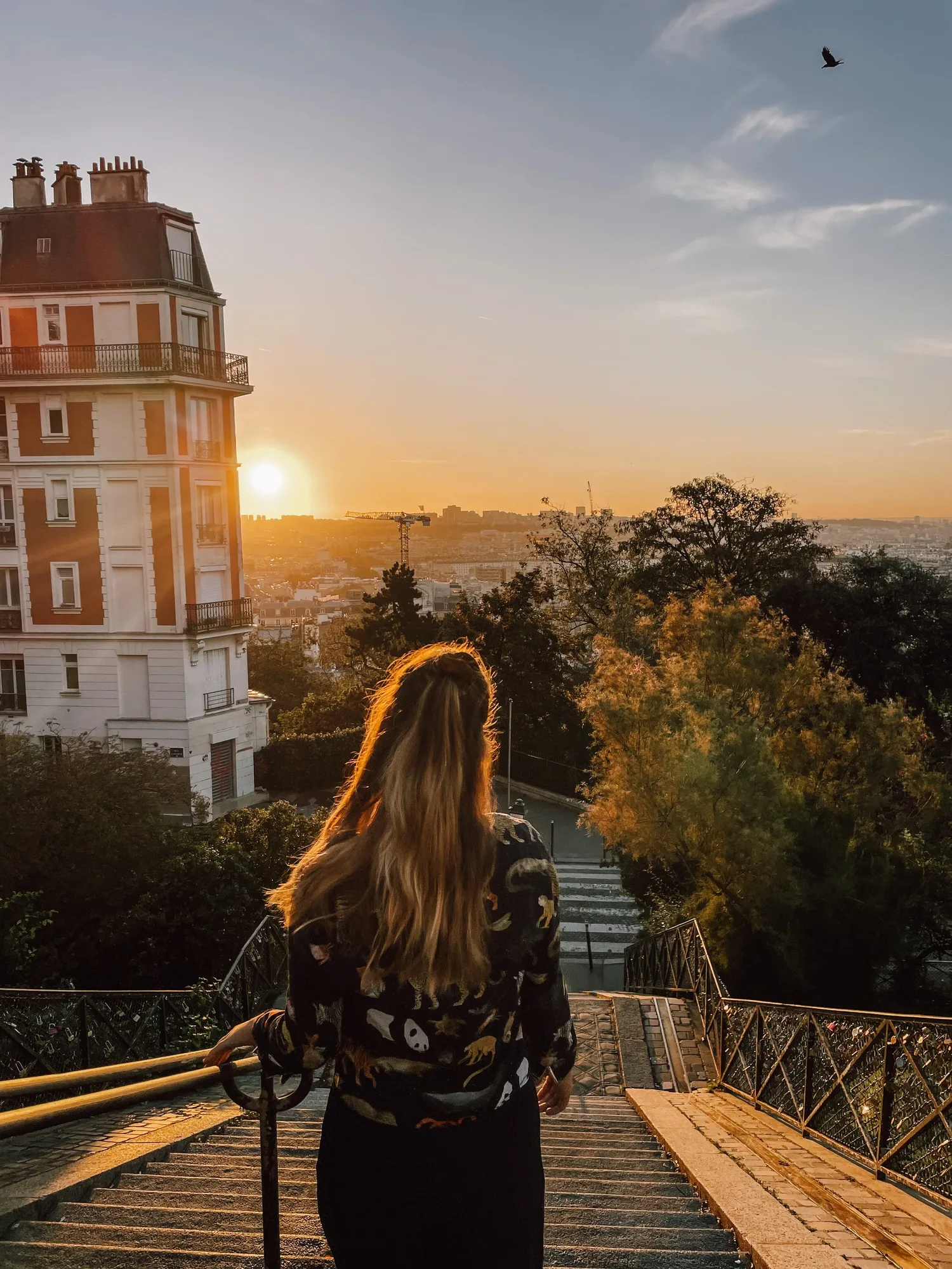a dreamy sunrise above paris