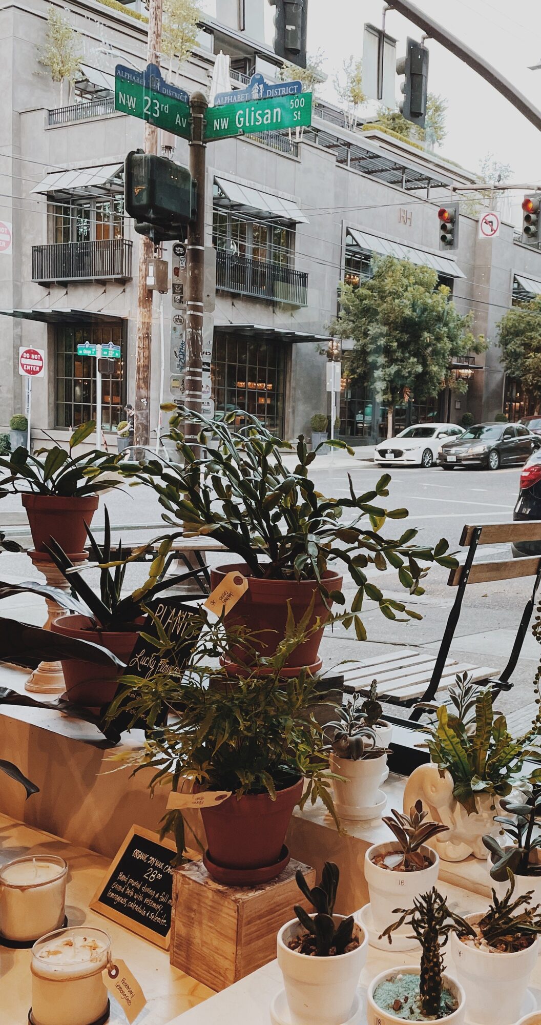 cute plants inside harlow