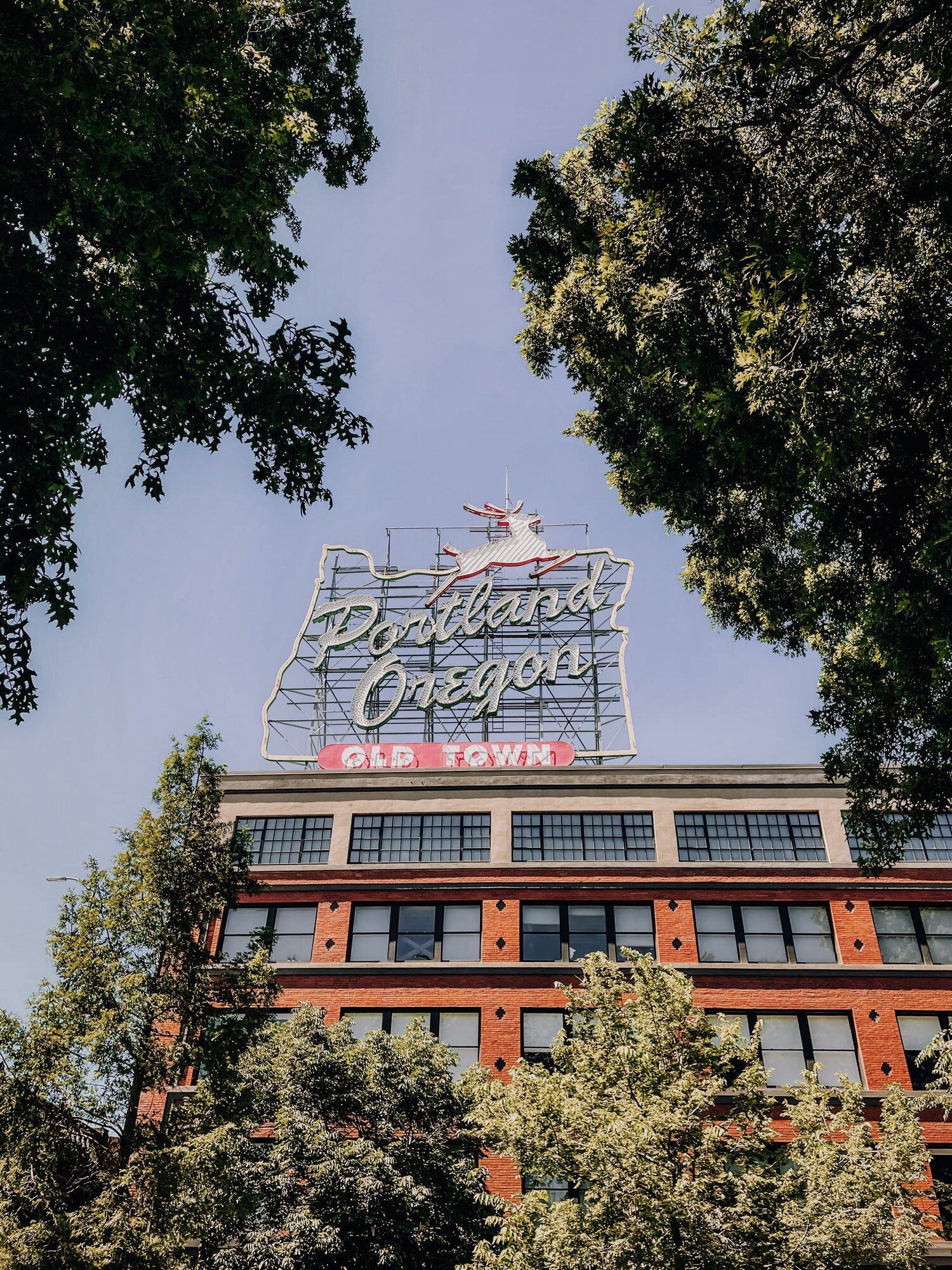 here it is, a rare picture of the white stag sign in summer daylight