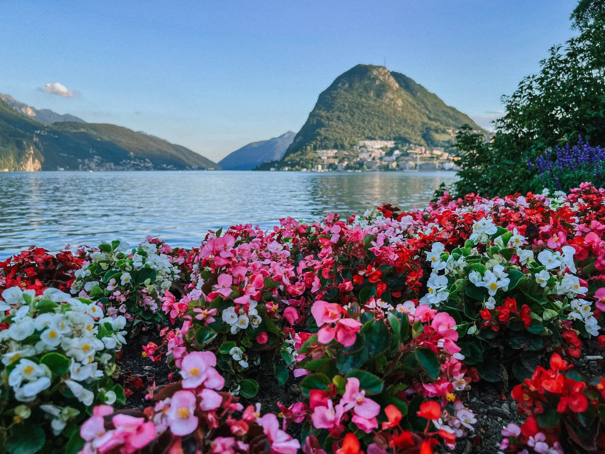 san salvatore from parco ciani. in summer, this is the few places of town that gets to see a sunset before the sun sets behind the mountains