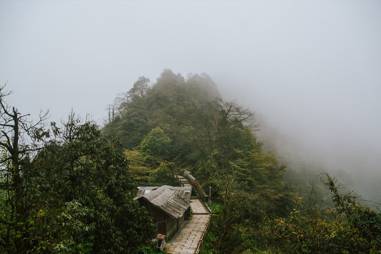 misty on the way down from mt. emei
