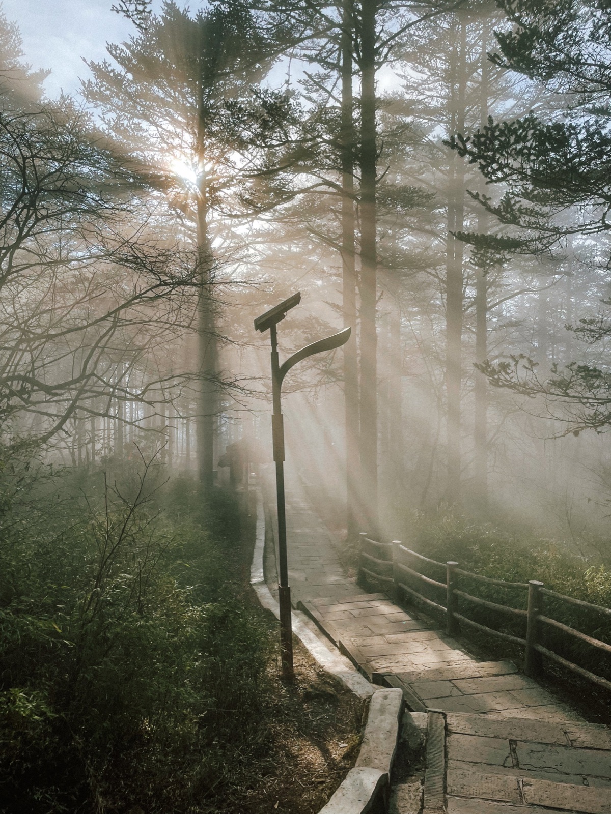 on franks hike from lei dong ping shuttle station to golden summit of mt. emei, light started to peak through the fog