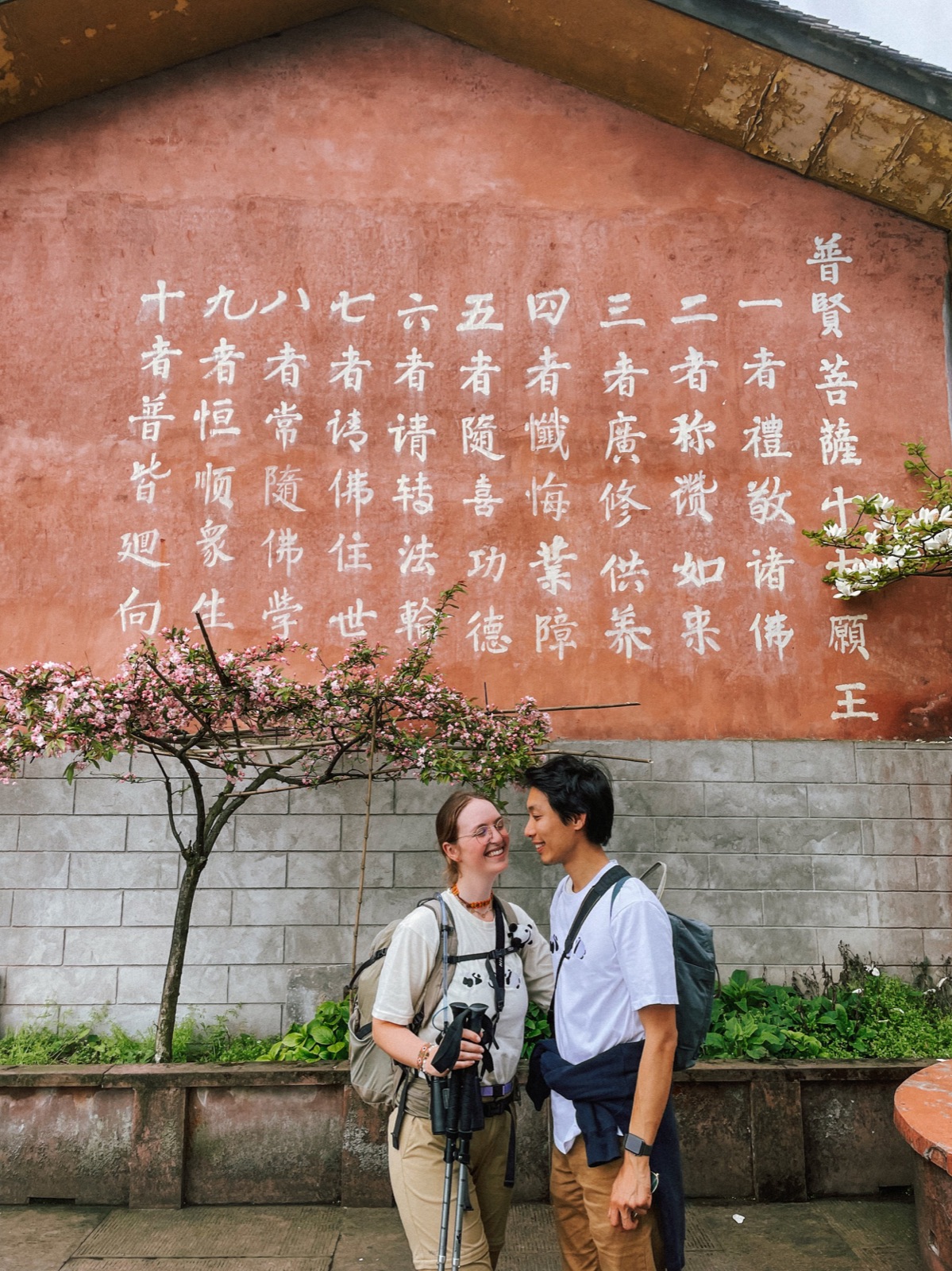blooming flowers in april on emeishan - mount emei