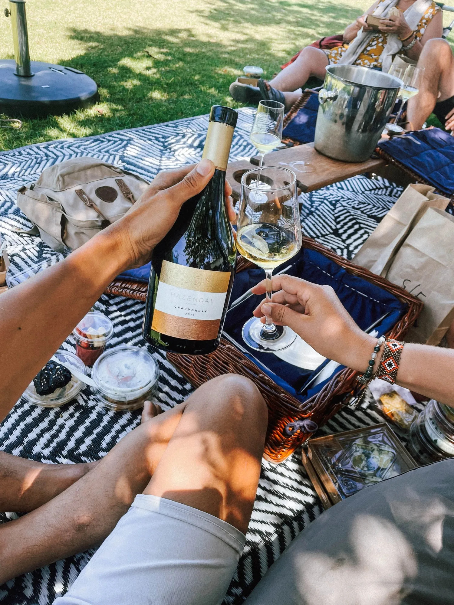 our vegan picnic under a tree at hazendal wine estate