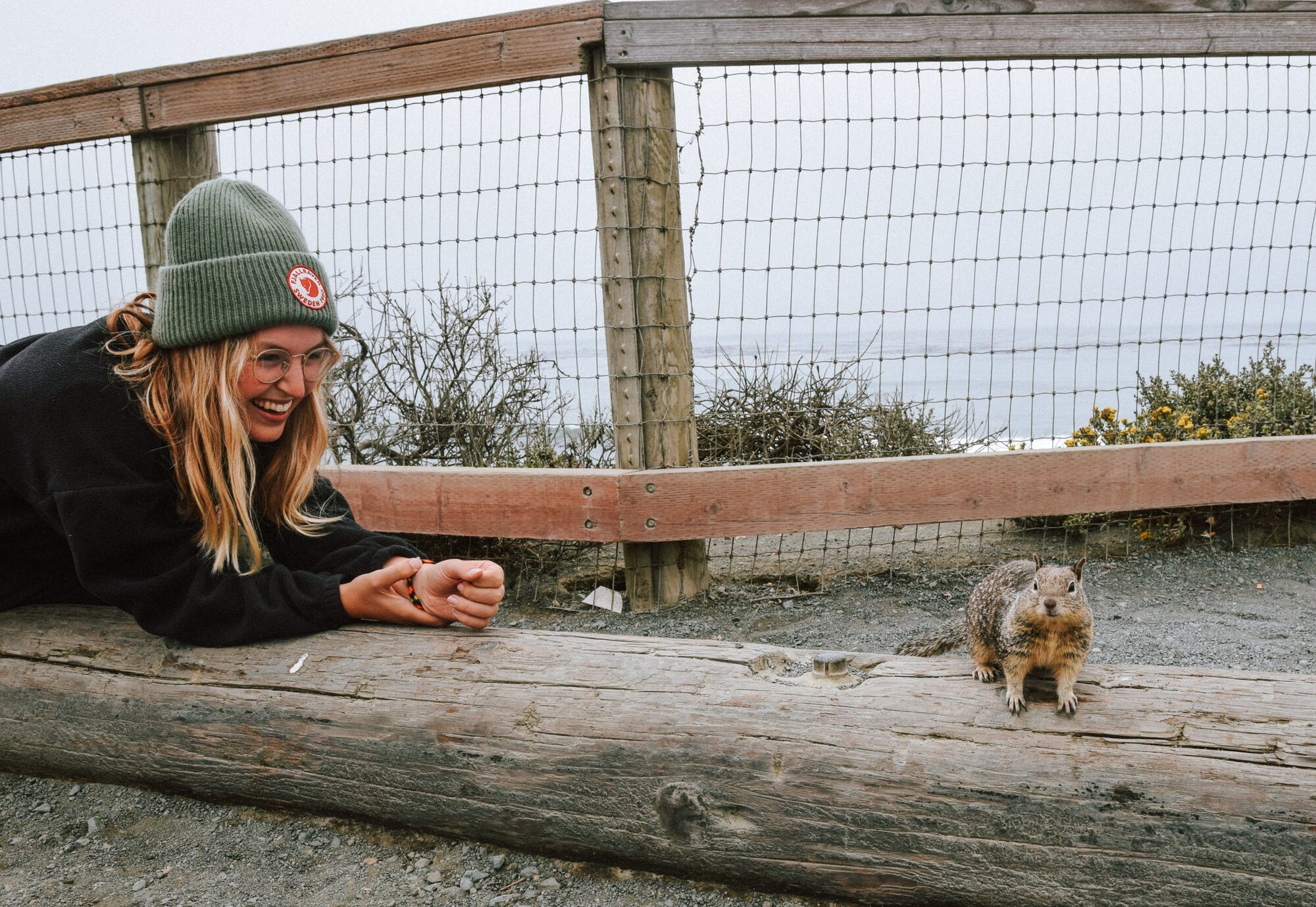 evelyne trying to make friends with a california ground squirrel