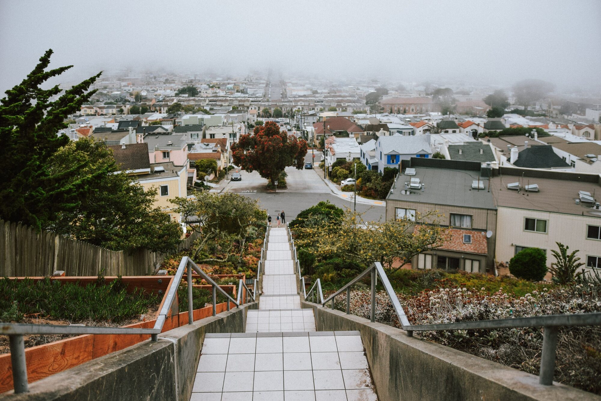 view into the city from mosaic tiled steps called the moraga steps in san francisco