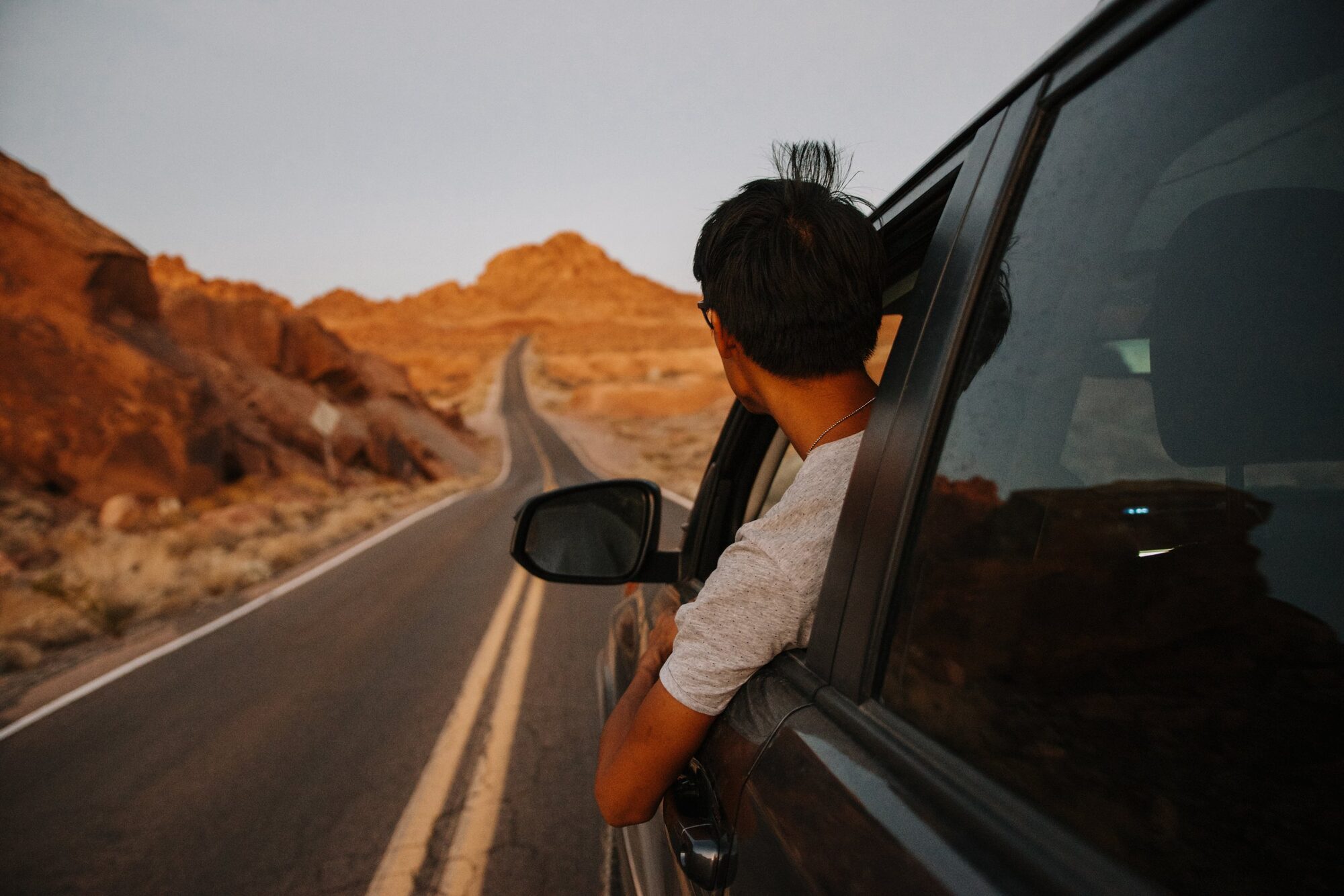 into the wild, into the light