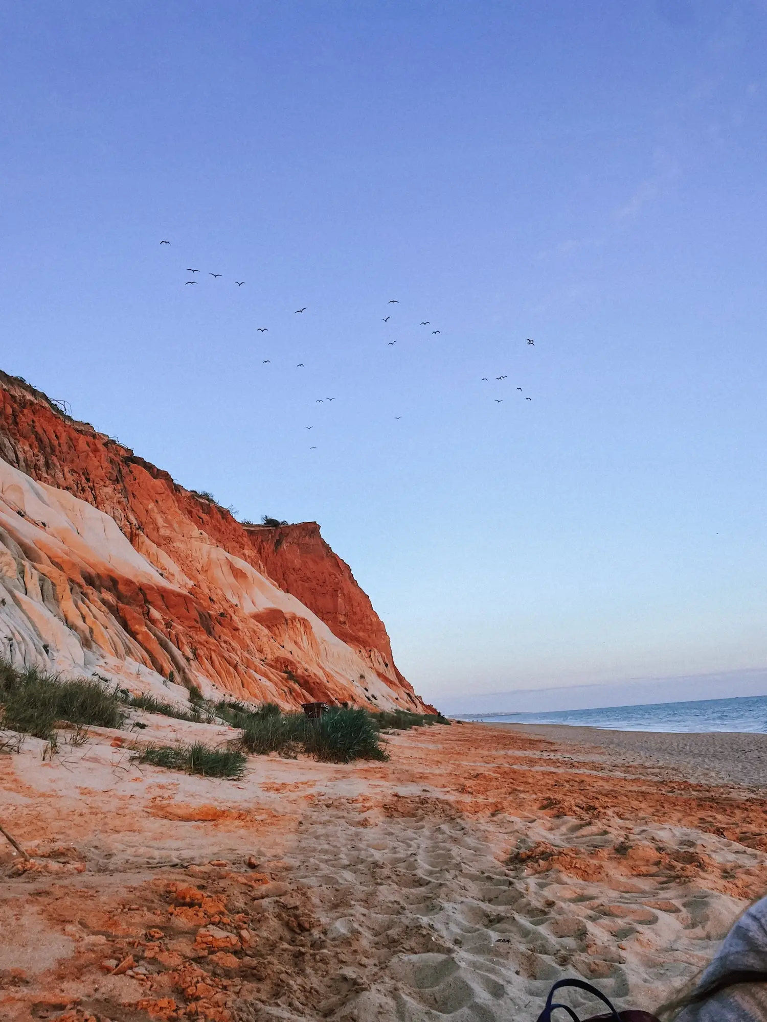 red cliffs on the algarve at sunset