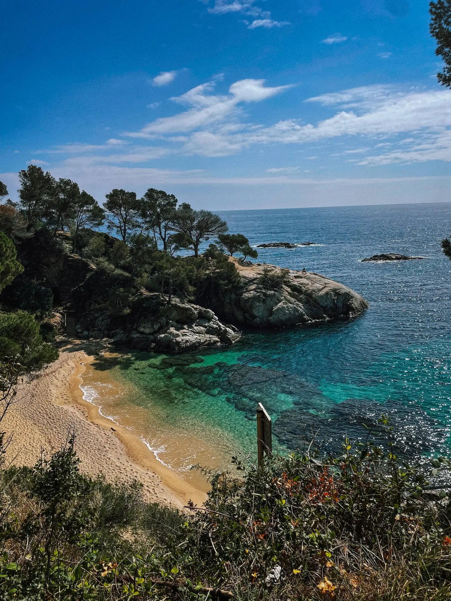a small cove with turquoise water and pines
