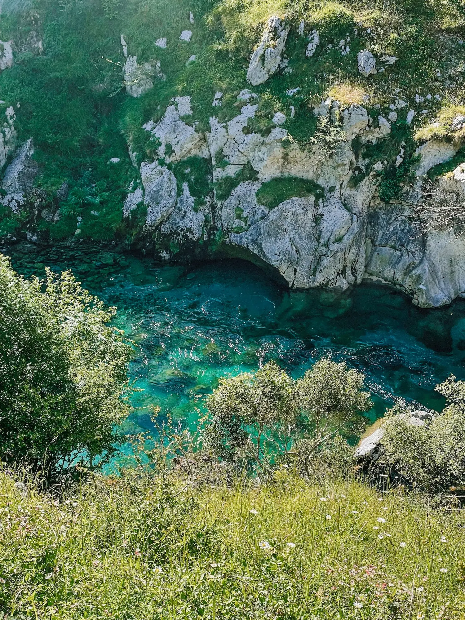 green cliffs above crystal-clear water