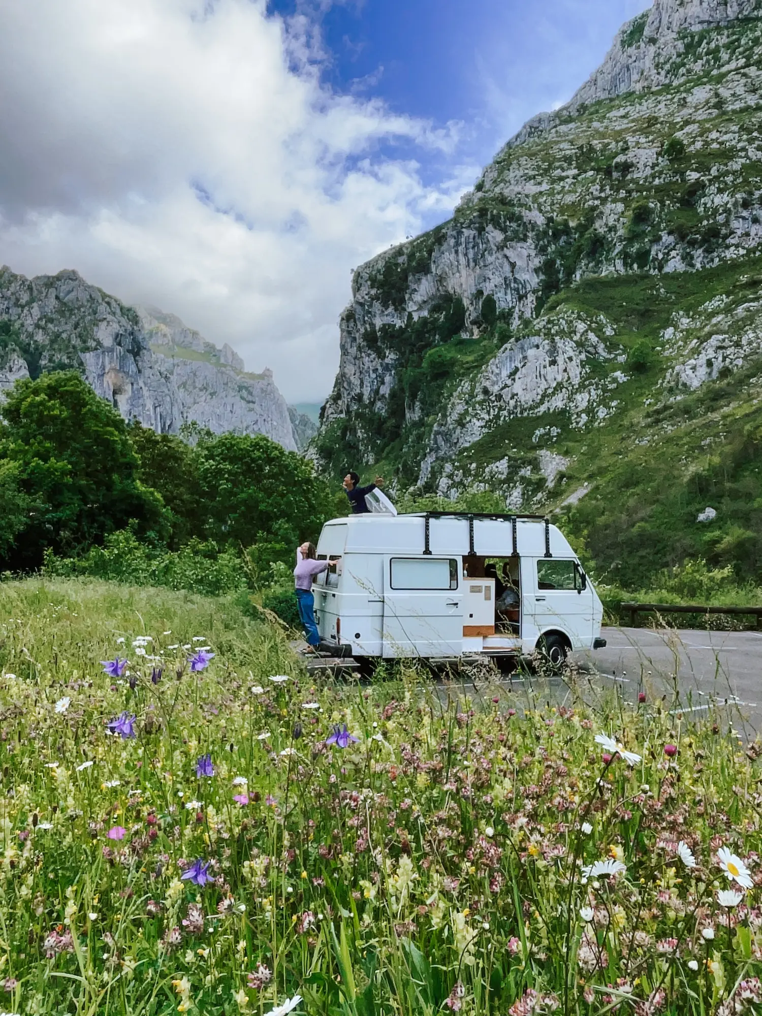humbär parked in a flowering meadow below the mountains