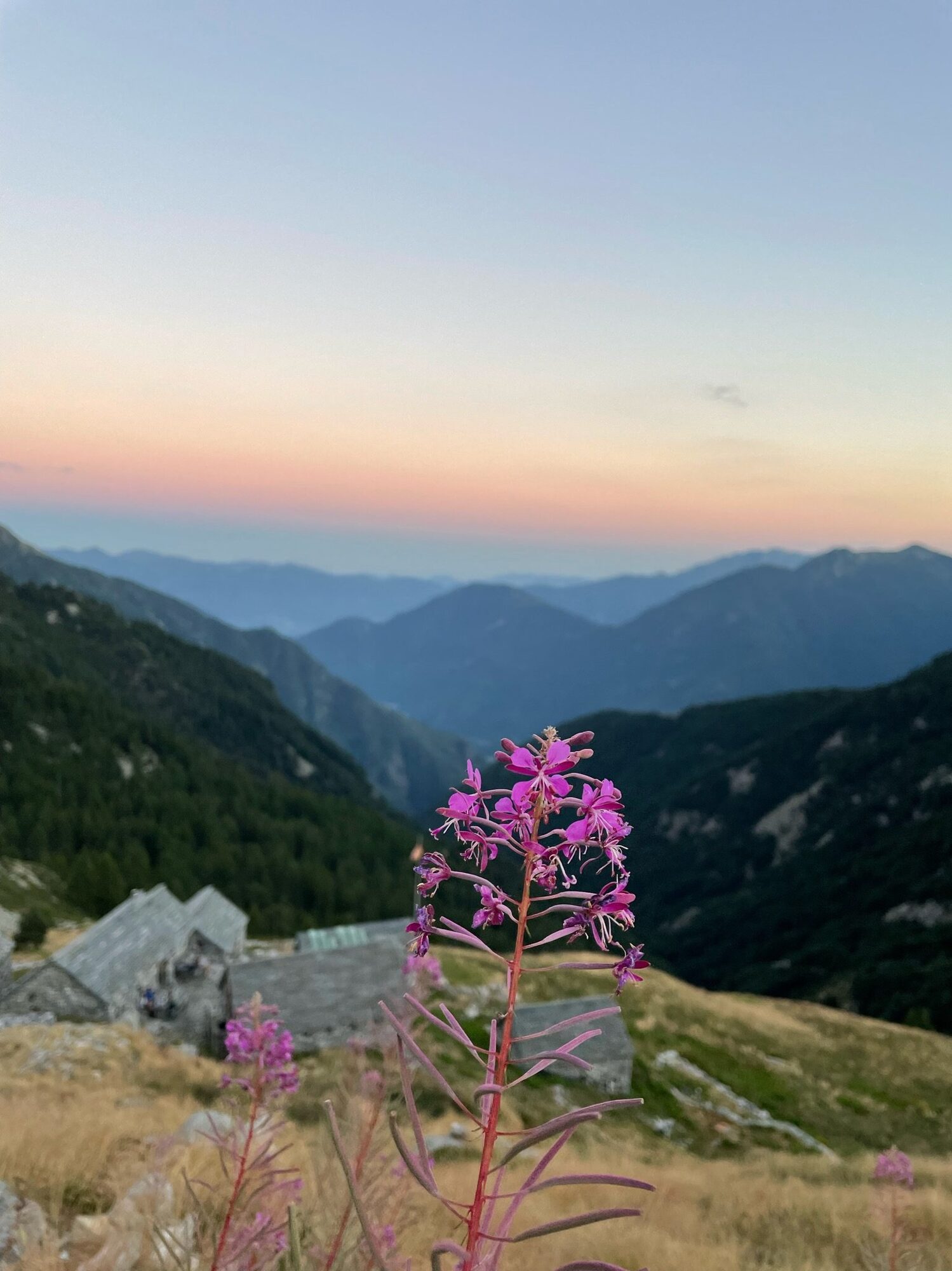 alpe spluga