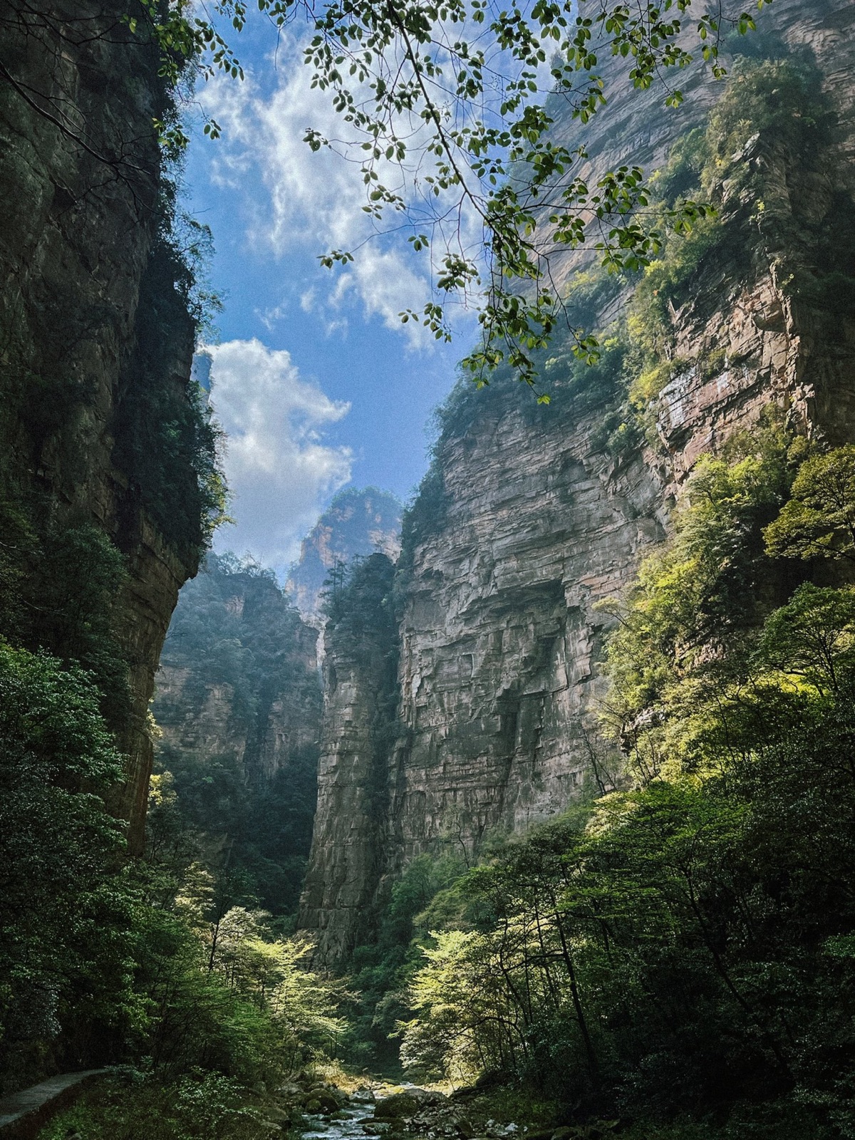 the golden whip stream flowing between the majestic canyon