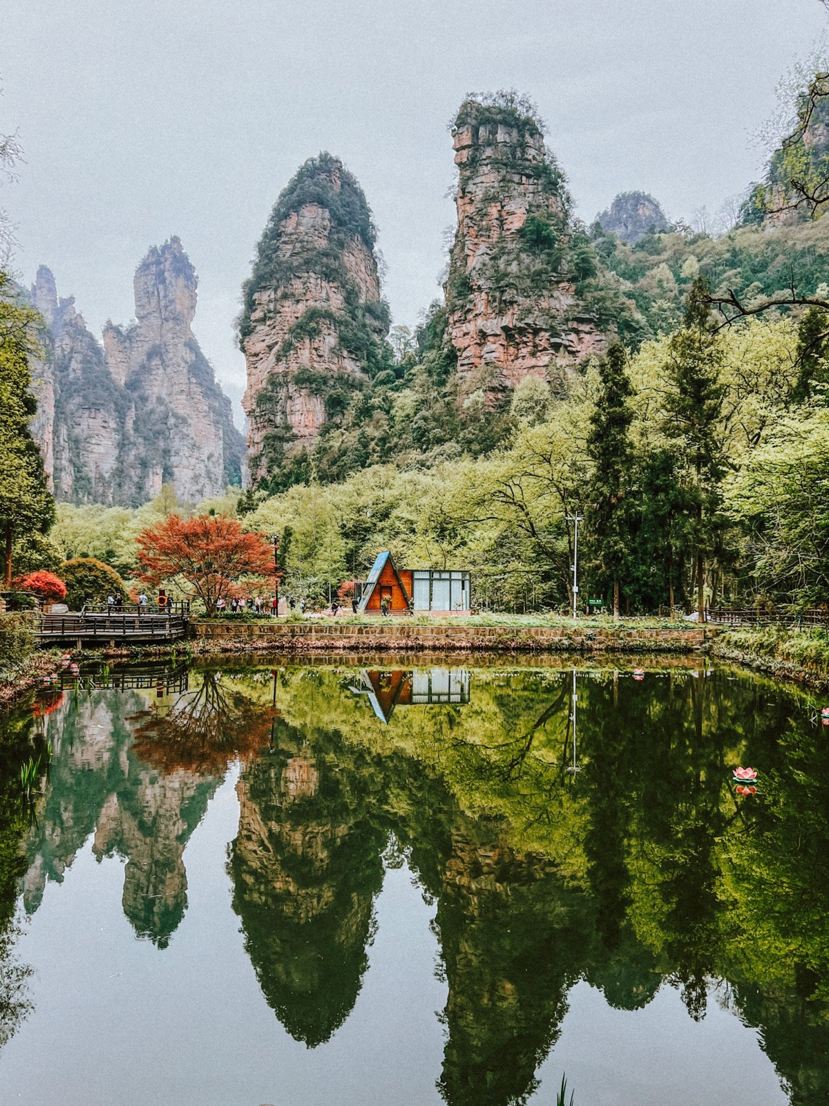 pure peacefulness - a pond reflecting the rocks of zhang jia jie