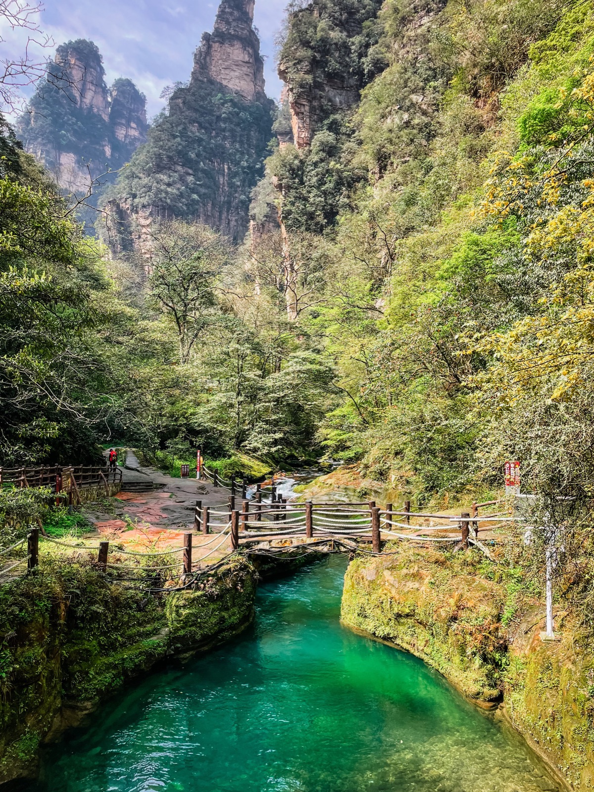 pristine waters of the golden whip stream inside the national park