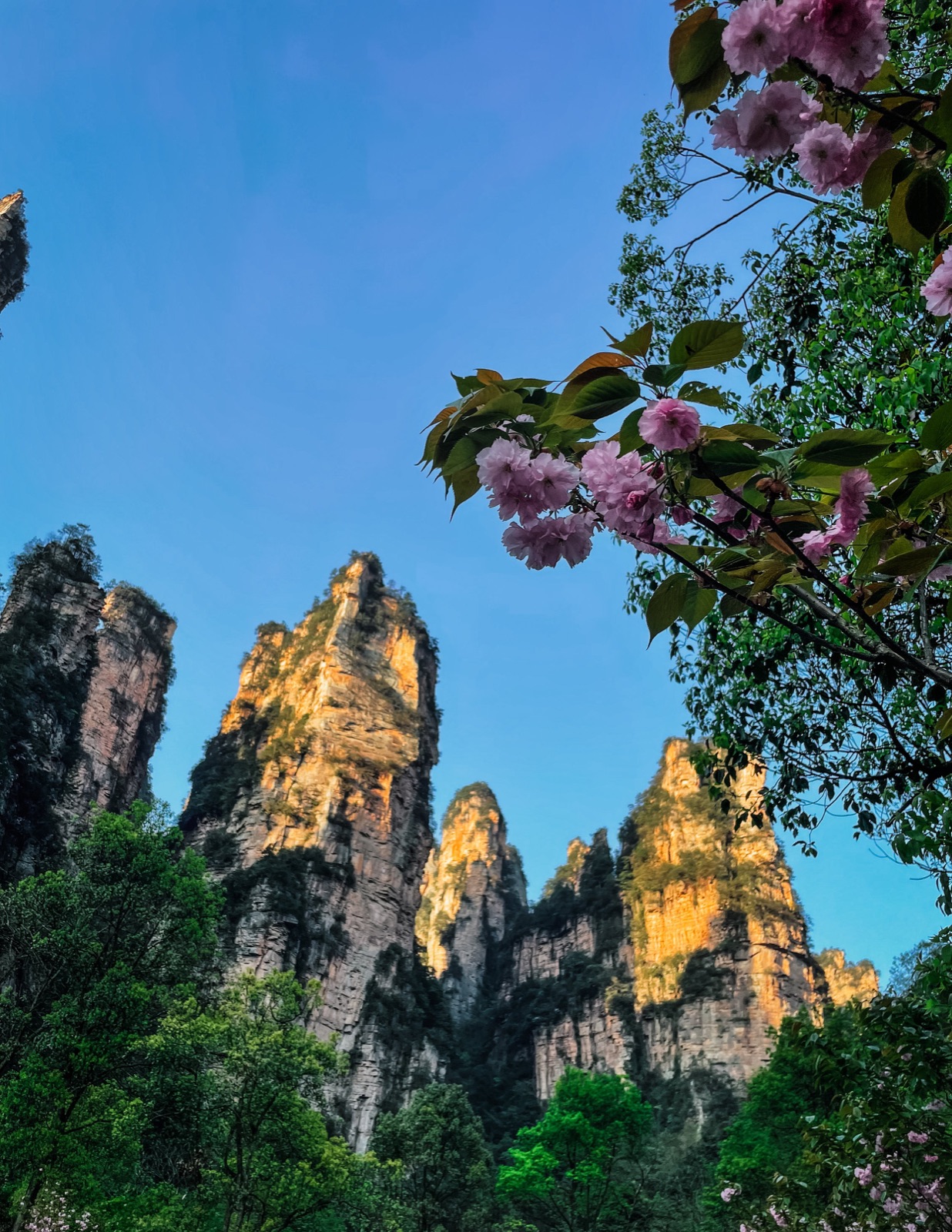the shuttle stop at golden whip stream at sunset