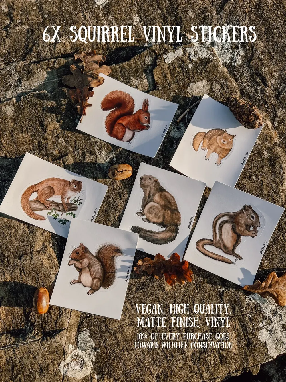 Squirrel Stickers - Vinyl Decals, The full set - all six designs