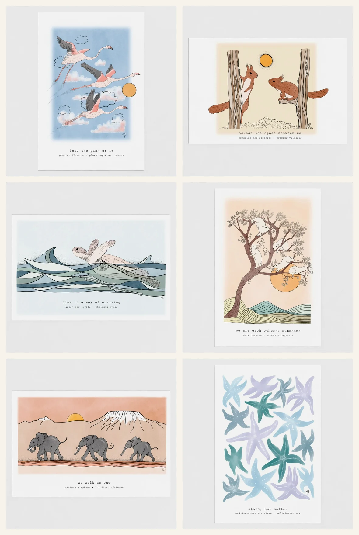 Wildlife Around the World - Fine Art Postcards, The full set - all six cards
