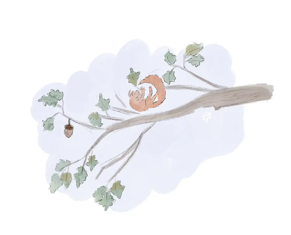 Falling from a branch
