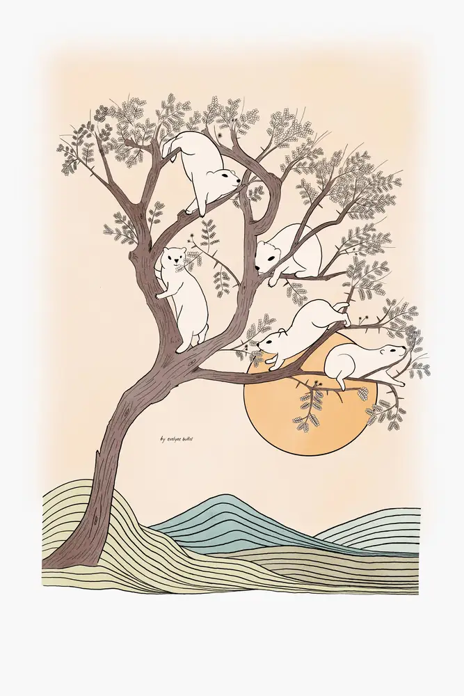 Rock dassies on an umbrella thorn
