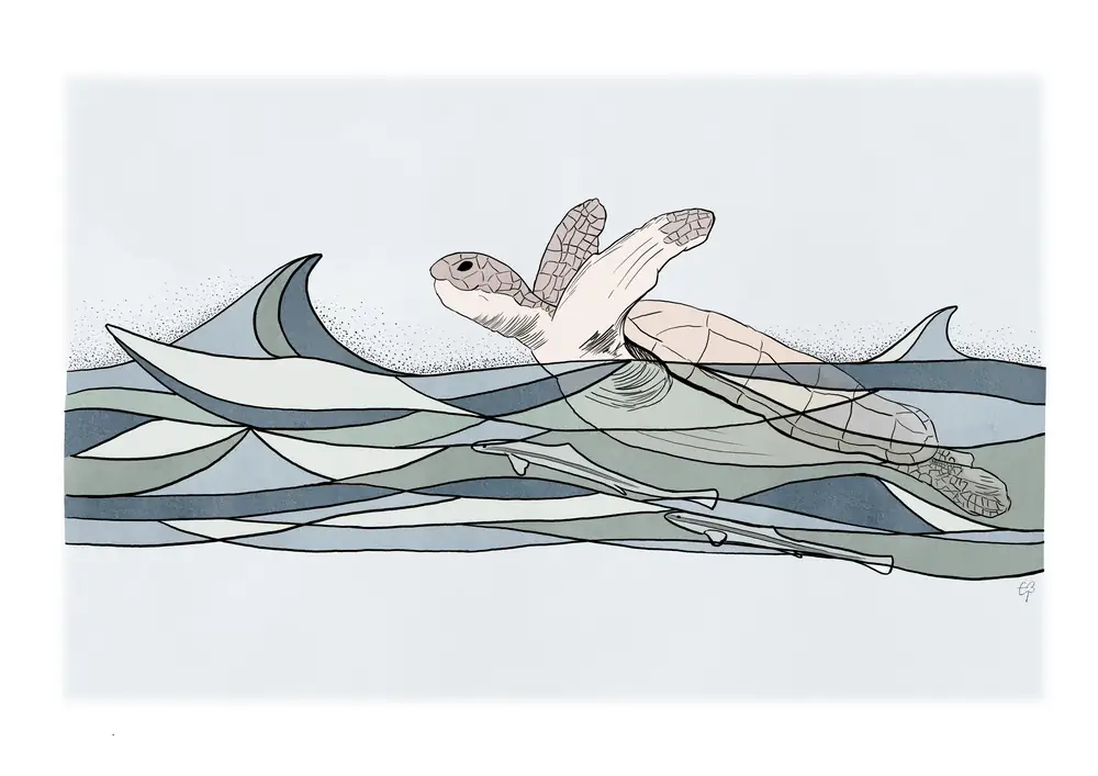 Sea turtle in the waves